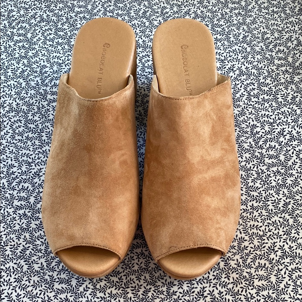 Chocolat Blu Brown Mules with Chunky Heel